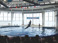 町会日帰りバスツアー