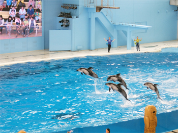 地元町会親睦日帰りバスツアー